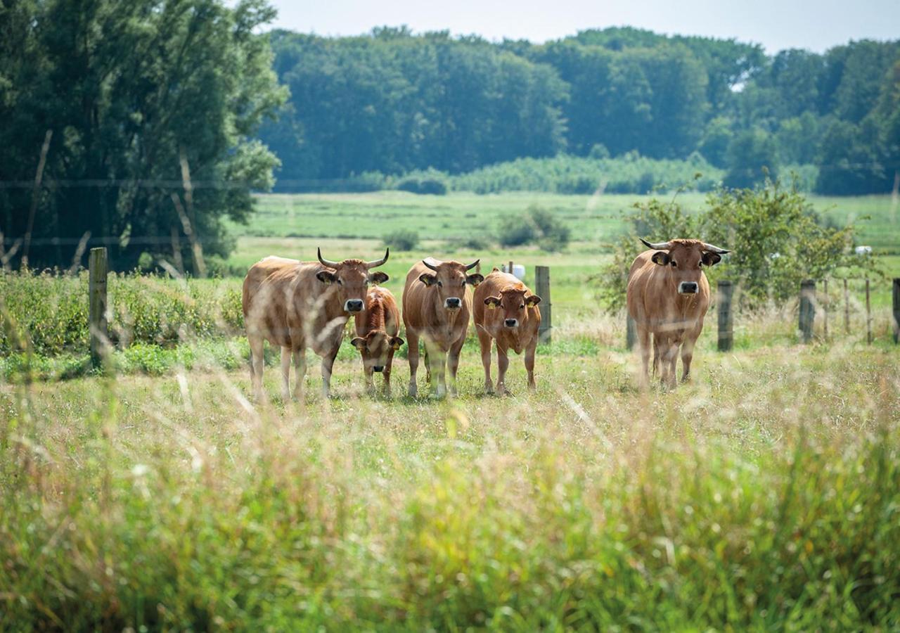 Feldgang Ein Gaestehaus! Upahl Eksteriør bilde